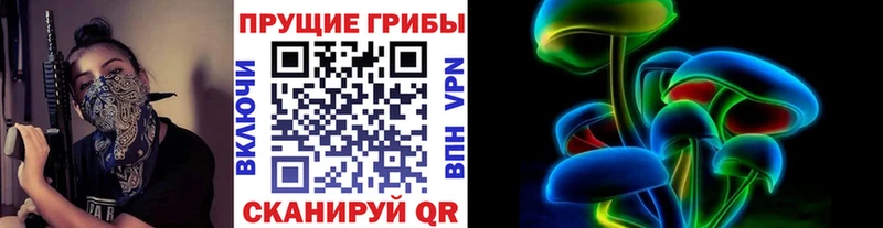 Галлюциногенные грибы GOLDEN TEACHER  купить   Амурск 