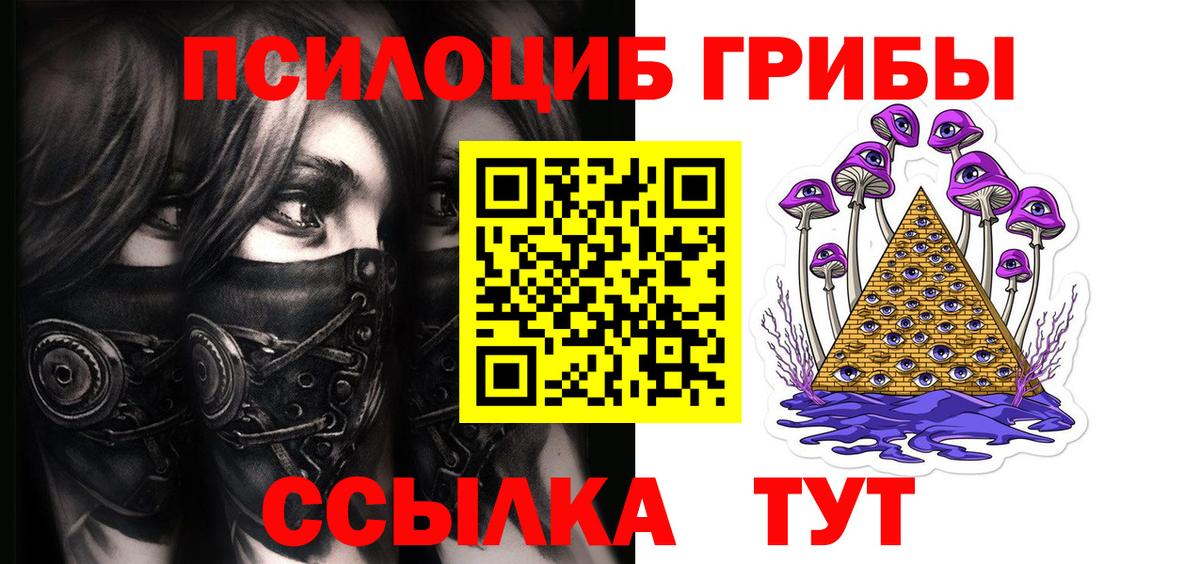 Амурск  Псилоцибиновые грибы Psilocybe  Вход с VPN  Псилоцибиновые грибы Cubensis 