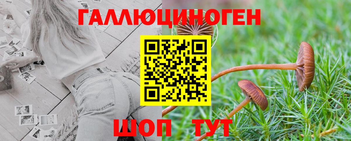 Псилоцибиновые грибы GOLDEN TEACHER Амурск
